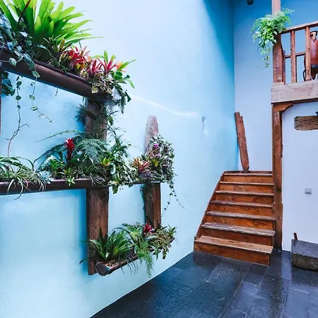 Casa Emblematica Salgado * Santa Cruz de la Palma (Isla de la Palma)