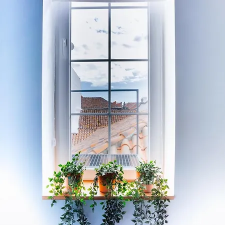 Apartment Casa Emblematica Salgado